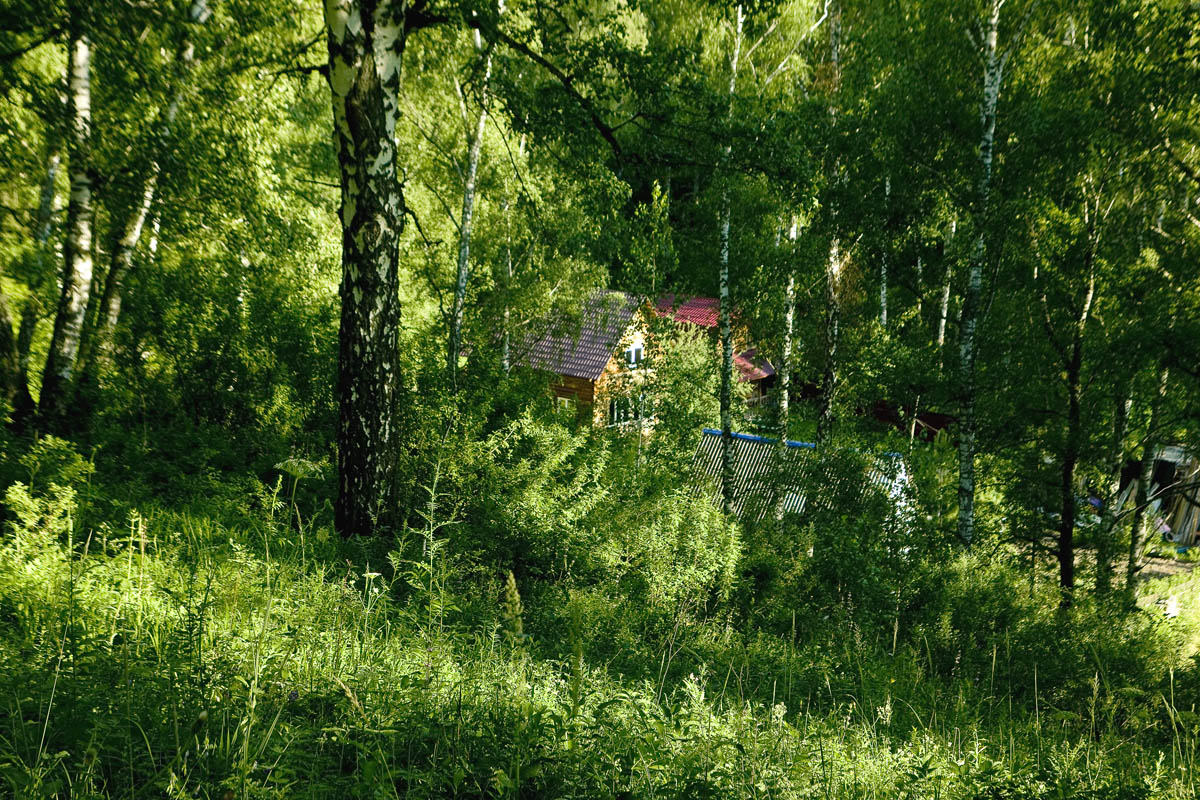 ����� � ���� ����� dedo ������. �� PhotoGeek.ru #������ ��� �������