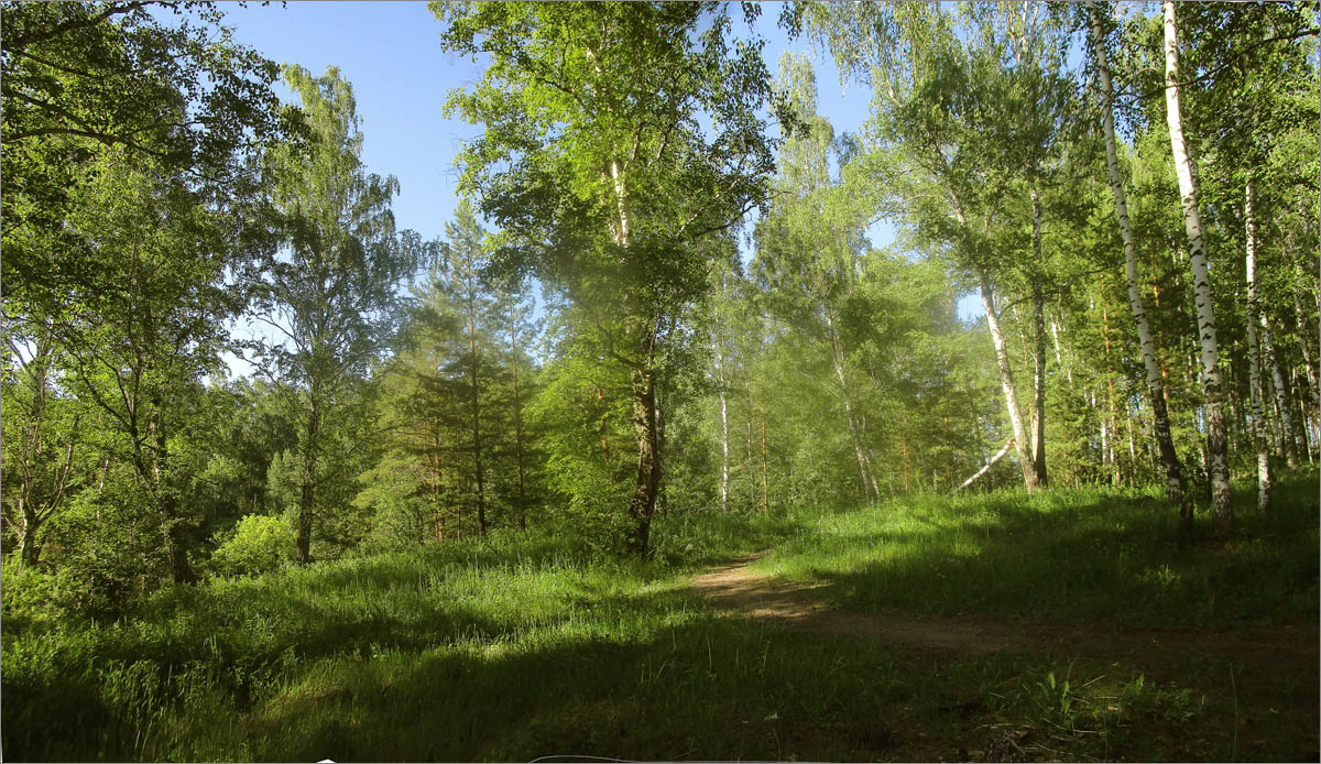 ������ �������� 5 ����� dedo ������. �� PhotoGeek.ru #������ ��� �������