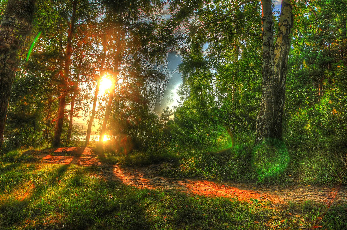������ ����� 7 ����� dedo ������. �� PhotoGeek.ru #������ ��� ������� #����� ��������������