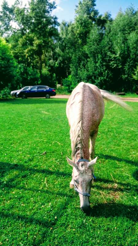 +1 ��������� ���� ����� ����� �������� �� PhotoGeek.ru #��������� #�������� ��� #�������� ��� #������ #������