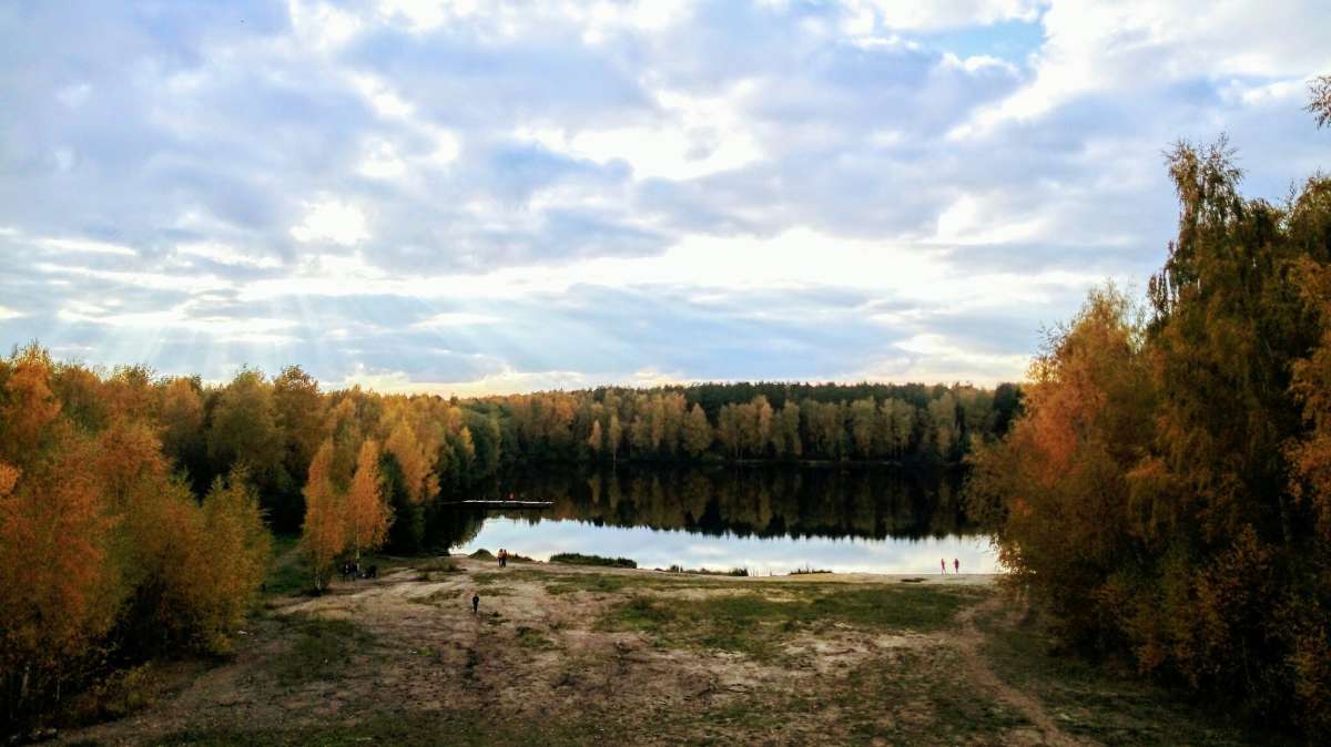 У воды автор Дарья Володина на PhotoGeek.ru #Пейзаж или природа #Жанровая фотография #Autumn #Живая растительность #Непостановочное #Осенние деревья #Осенняя прогулка #Осень #Разное #Среда обитания