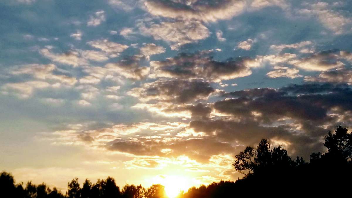 Закатное небо автор Дарья Володина на PhotoGeek.ru #Пейзаж или природа #Жанровая фотография #Nature #Sunset #Живая растительность #Закат #Небо #Непостановочное #Природа #Разное #Среда обитания