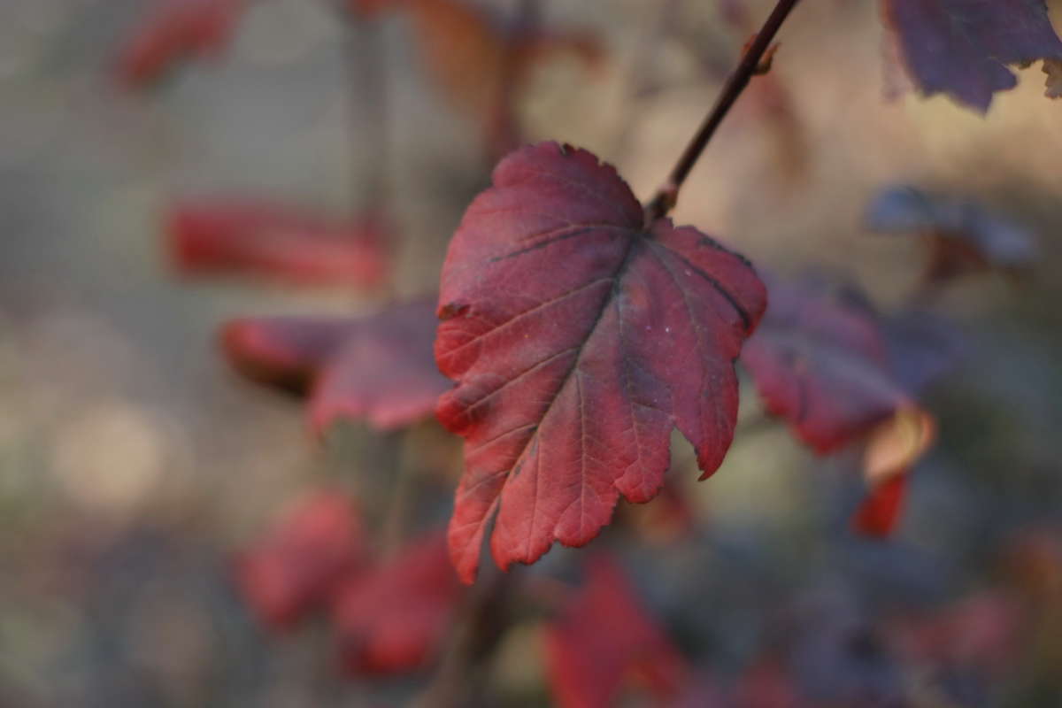 ������� ���� ����� �������� ����� �� PhotoGeek.ru #������ ��� �������