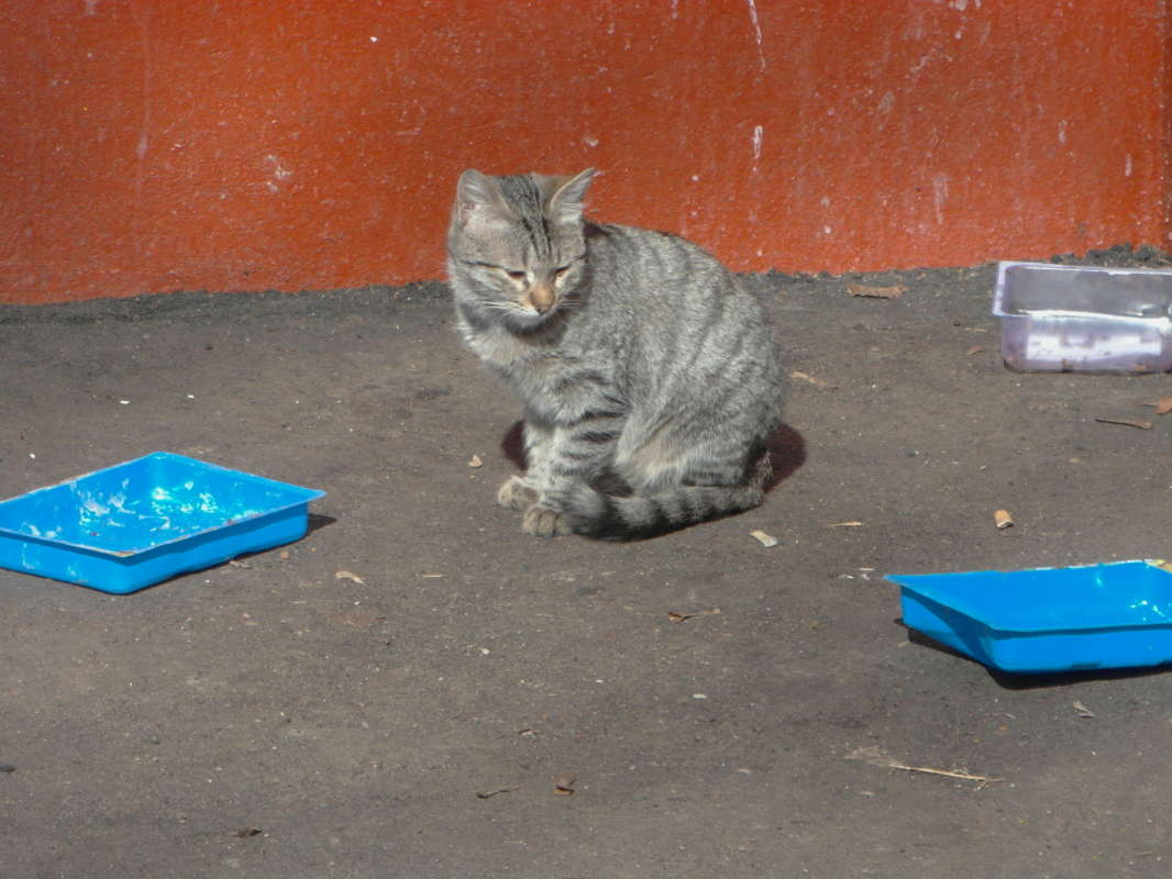 �� ��� ���� ��������� ����� �������� ����� �� PhotoGeek.ru #�������� ���