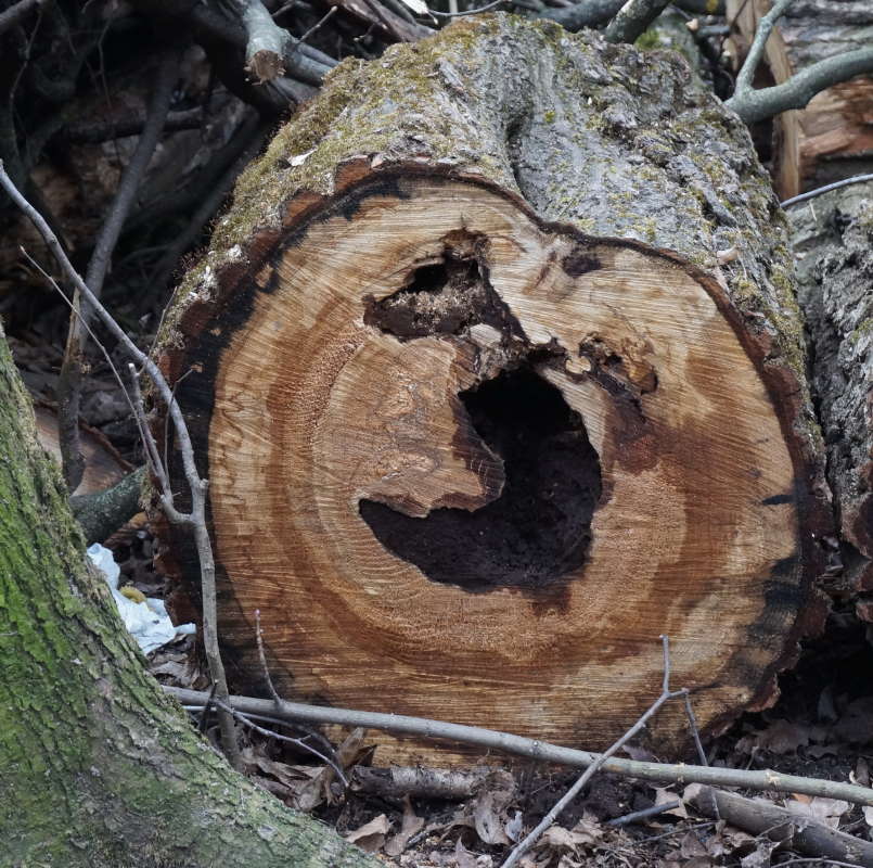 ������� ����� �������� ����� �� PhotoGeek.ru #������ ��� �������