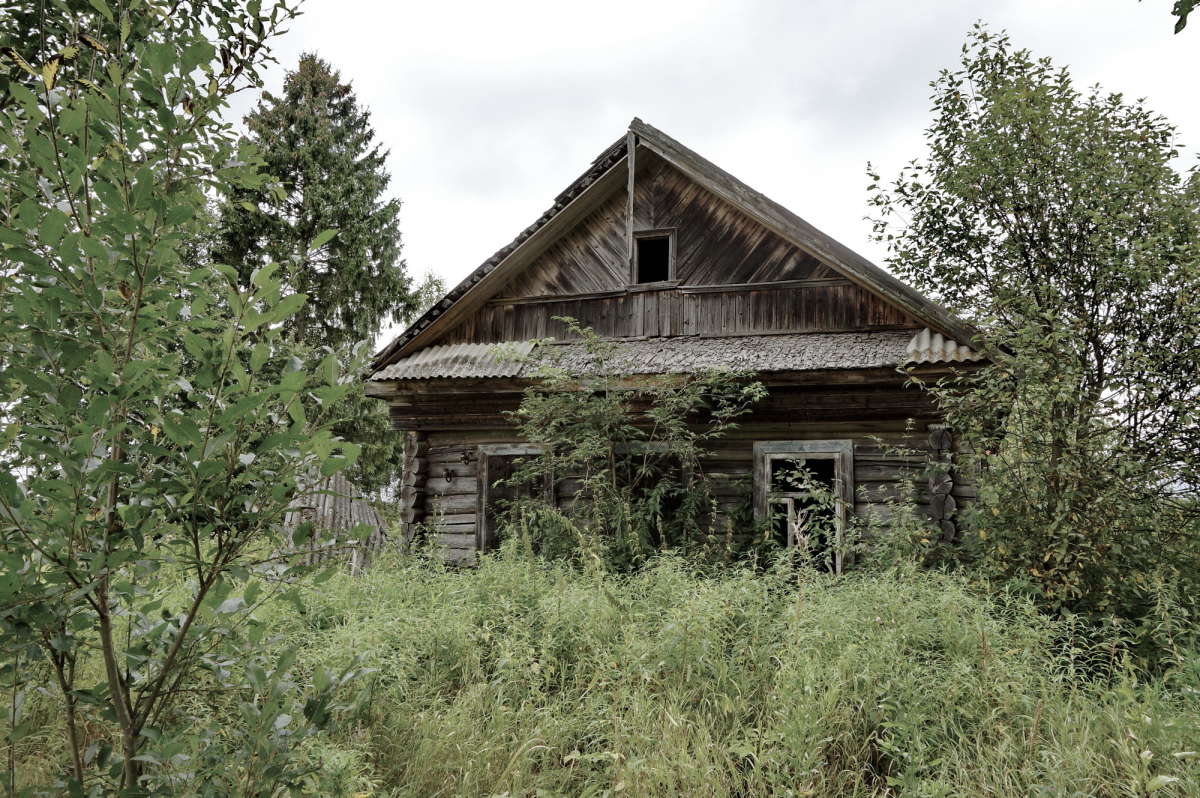 �������� ���� - �������� � ����� ����� �������� ����� �� PhotoGeek.ru #������ ��� �������