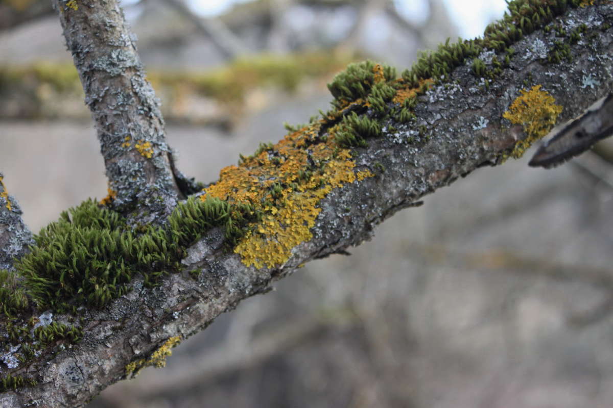 ������� ��� ����� �������� ����� �� PhotoGeek.ru #������ ��� �������