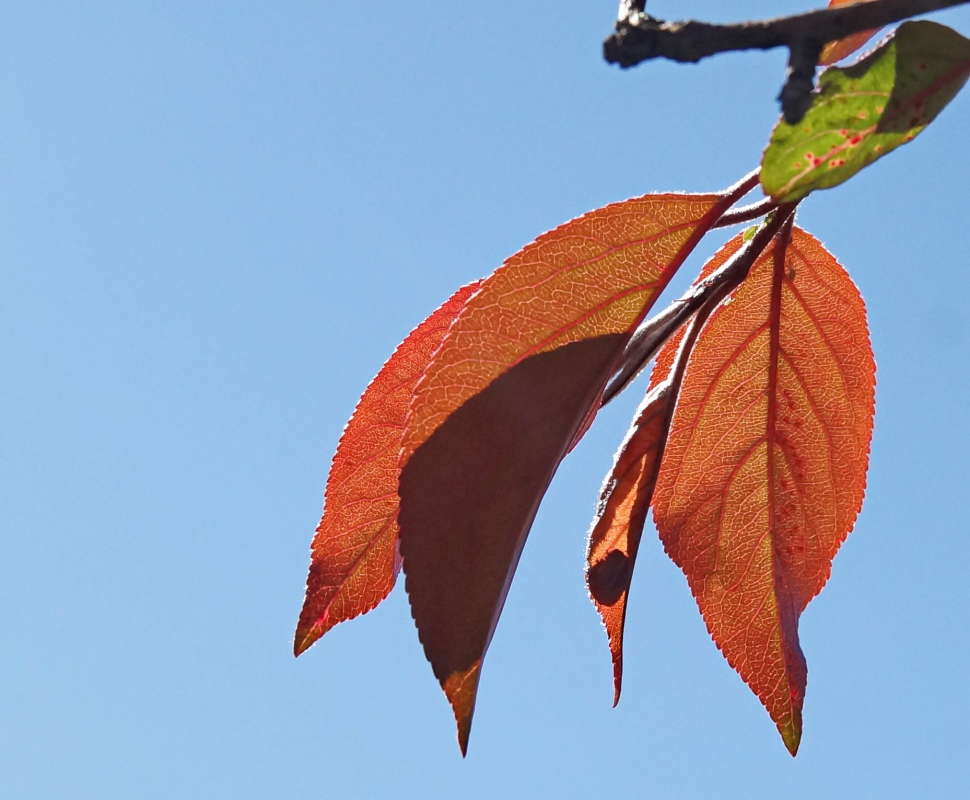 �������� � ��������� ����� �������� ����� �� PhotoGeek.ru #������ ��� �������