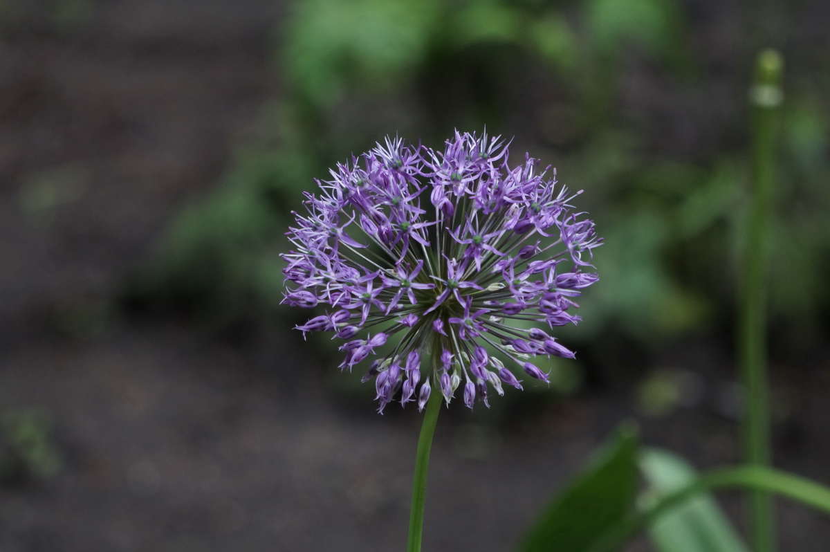 ������� ��� ����� �������� ����� �� PhotoGeek.ru #������ ��� �������