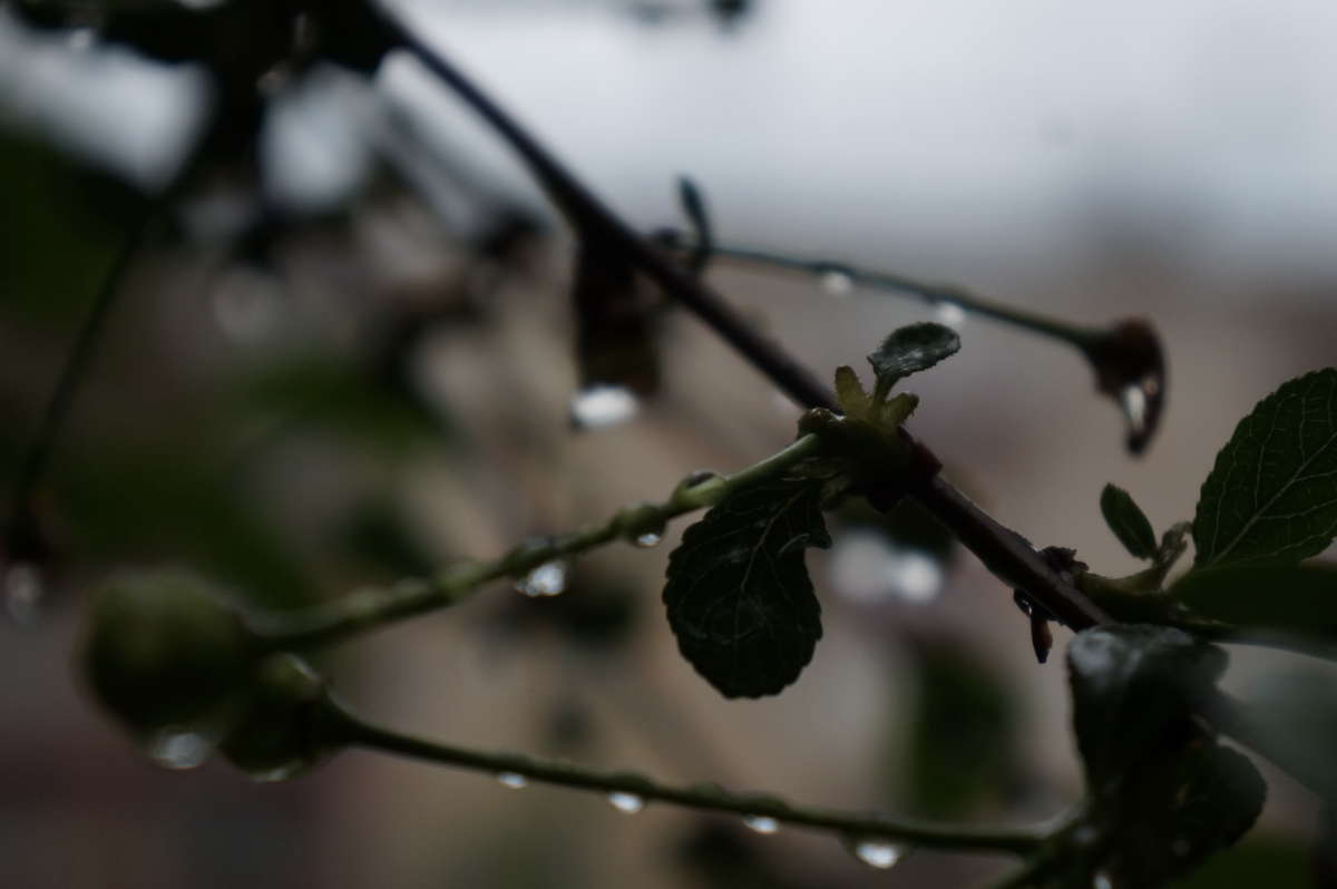 ��������� ���� ����� �������� ����� �� PhotoGeek.ru #������ ��� �������