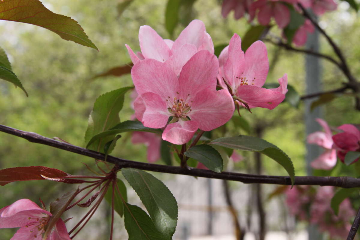 ���� ������ ����� �������� ����� �� PhotoGeek.ru #������ ��� �������