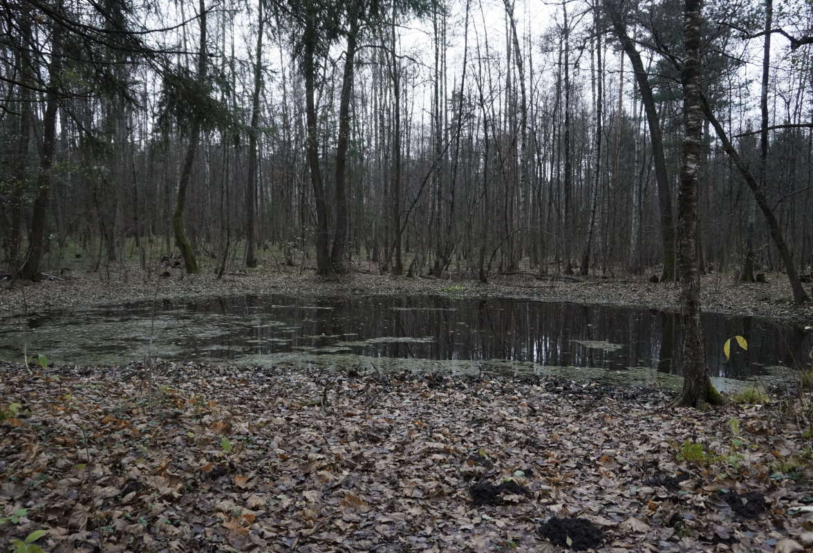 ������� ����� ����� �������� ����� �� PhotoGeek.ru #������ ��� �������