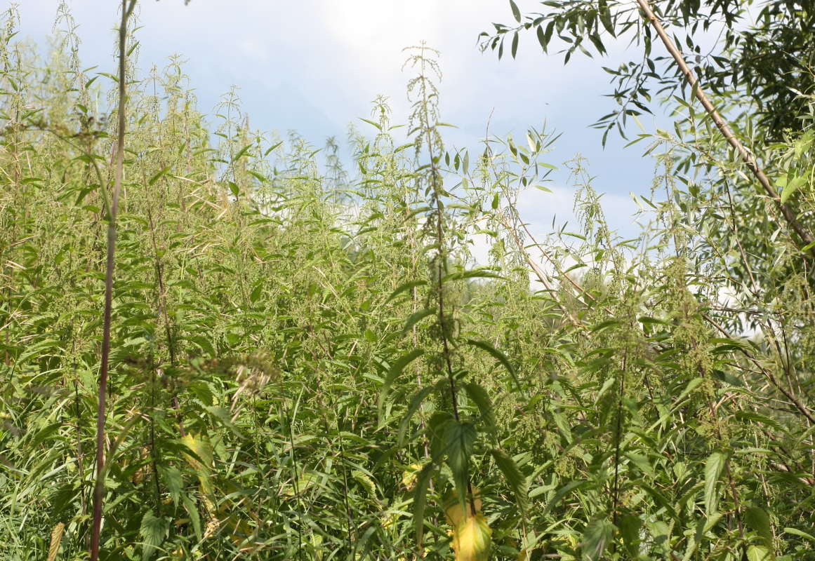 �������� ����� ��� ����� ����� �������� ����� �� PhotoGeek.ru #������ ��� �������