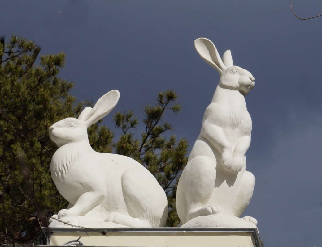 ����� ����� �������� ����� �� PhotoGeek.ru #�����