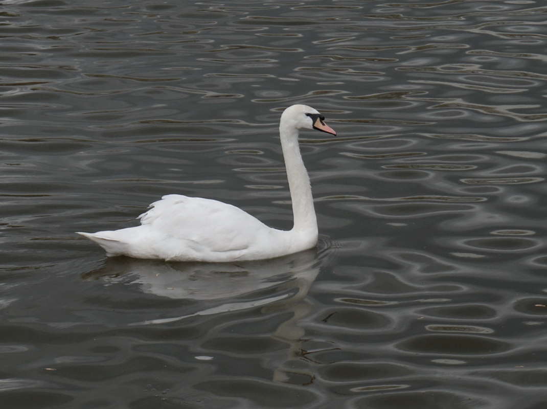 ���� ����� �������� ����� �� PhotoGeek.ru #�������� ��� #������ ��� �������