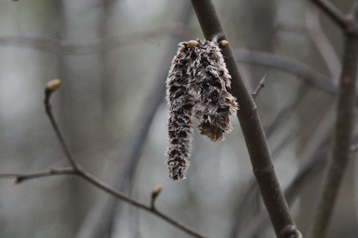 �������� ����� �������� ����� �� PhotoGeek.ru #������ ��� �������