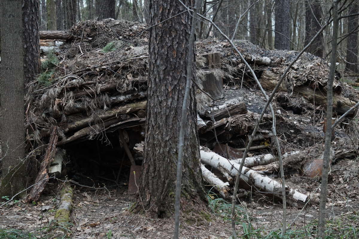 ������ ��������� ����� �������� ����� �� PhotoGeek.ru #������ ��� �������