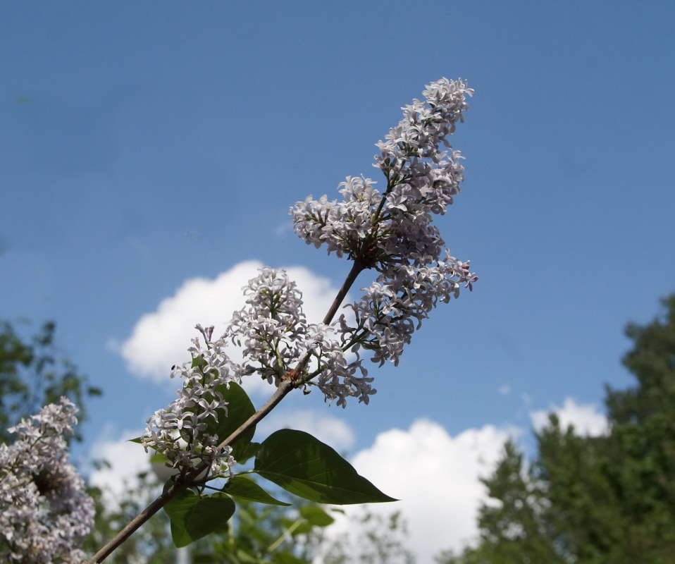 ����� ����� �������� ����� �� PhotoGeek.ru #������ ��� �������