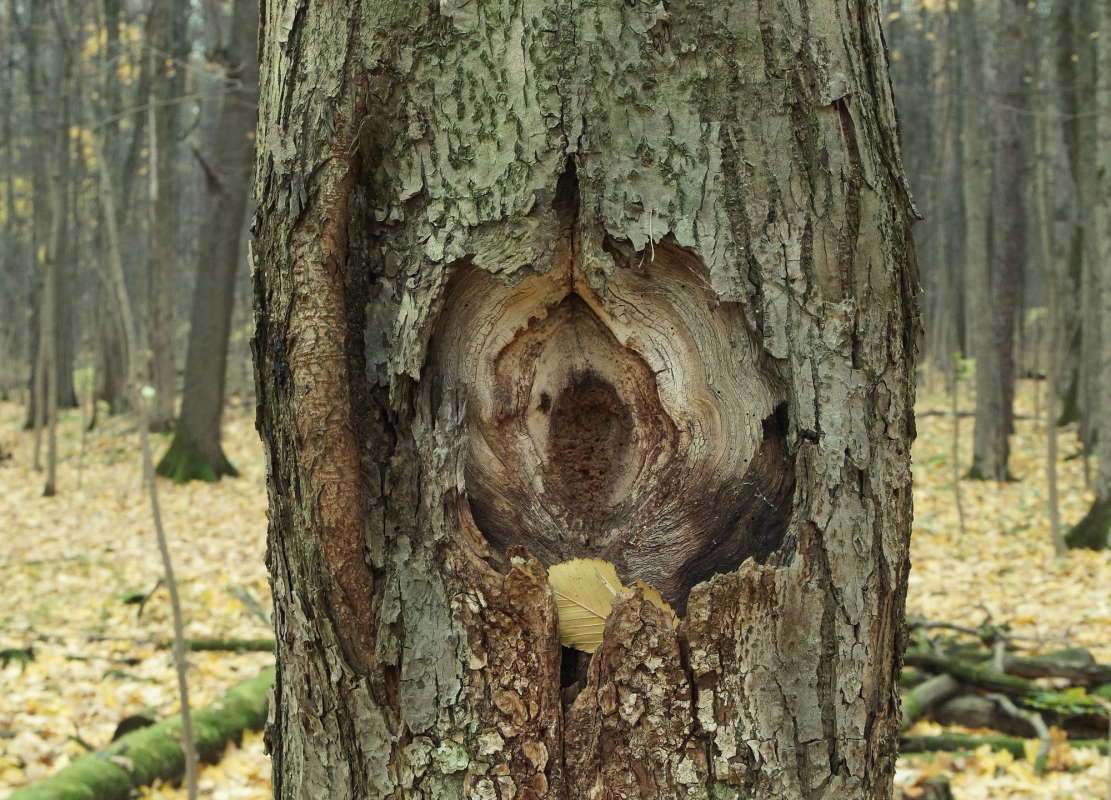 ���� ������������� ����� �������� ����� �� PhotoGeek.ru #������ ��� �������