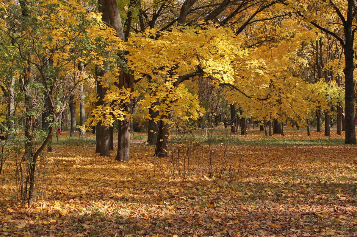 ��������� ����� ����� �������� ����� �� PhotoGeek.ru #������ ��� �������