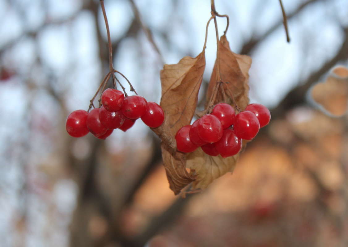 �� ����� ����� � ������ ����� �������� ����� �� PhotoGeek.ru #������ ��� �������