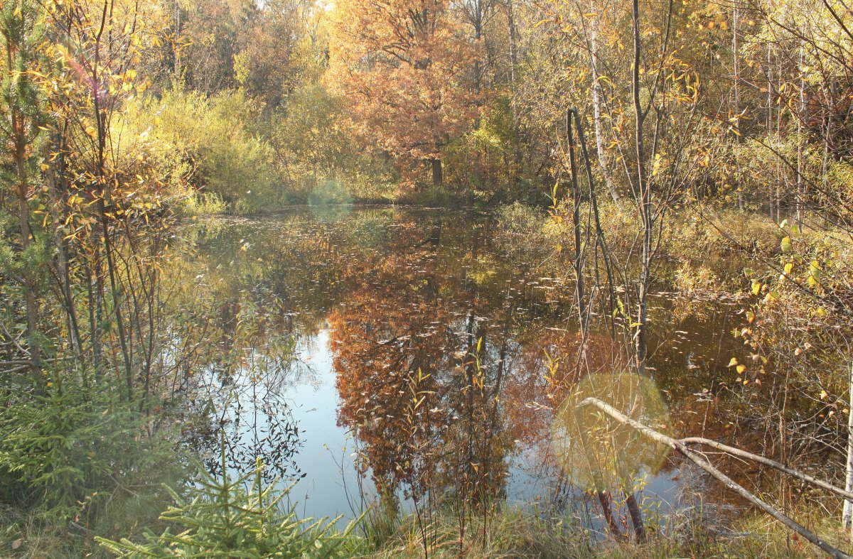 ������� ������� ����� �������� ����� �� PhotoGeek.ru #������ ��� �������