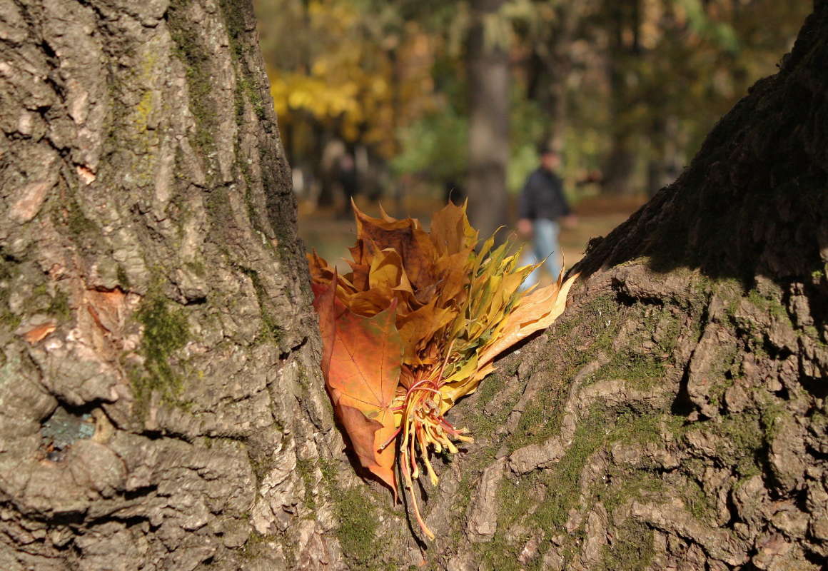 ���������� ����� �������� ����� �� PhotoGeek.ru #������ ��� �������