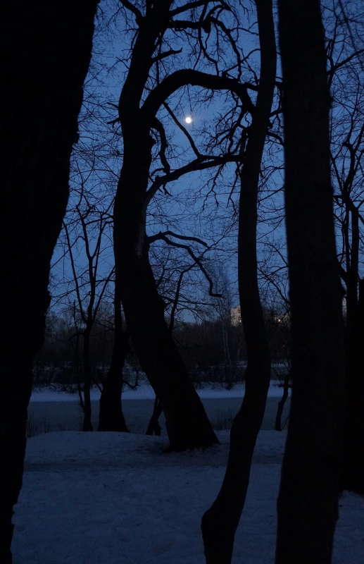 �������� ������ ����� �������� ����� �� PhotoGeek.ru #������ ��� ������� #����� ��������������