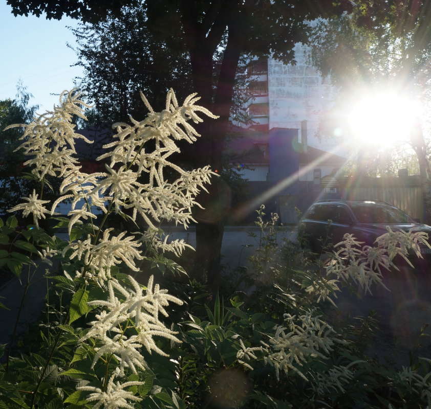 ���� ����� �������� ����� �� PhotoGeek.ru #������ ��� �������