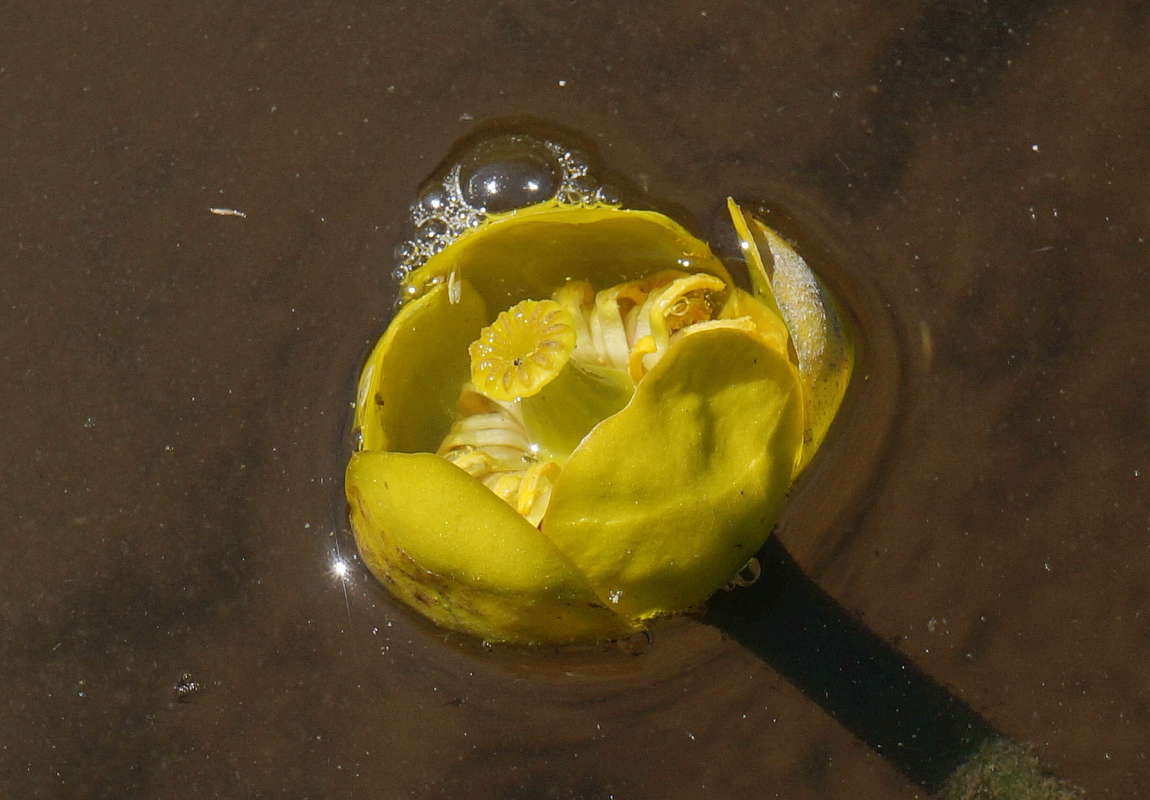 ������ ������ ����� �������� ����� �� PhotoGeek.ru #������ ��� �������