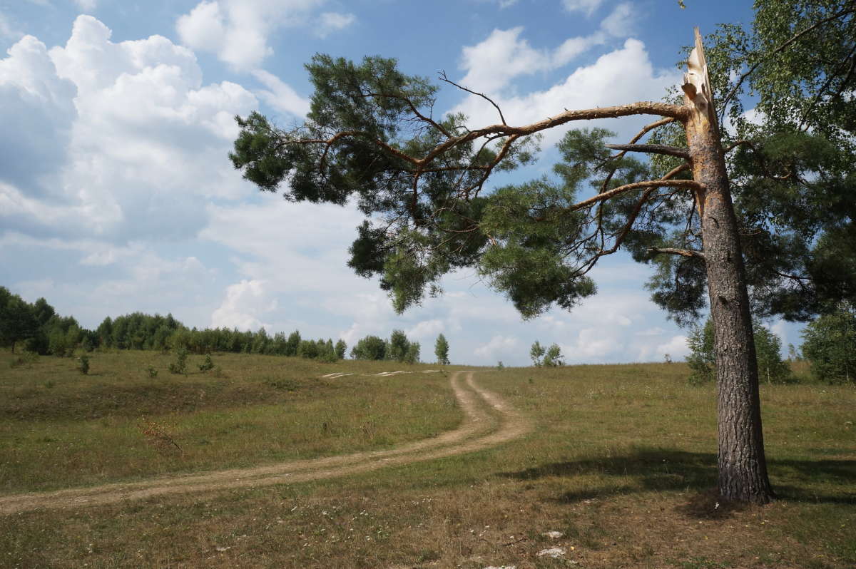 Предзнаменование автор Владимир Юрков на PhotoGeek.ru #Пейзаж или природа