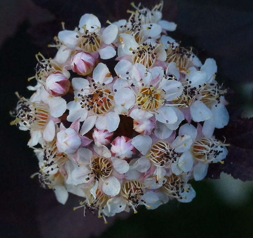 ������ ����� �������� ����� �� PhotoGeek.ru #������ ��� ������� #����� ��������������