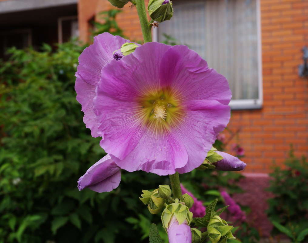 ��������� ����� ����� �������� ����� �� PhotoGeek.ru #������ ��� ������� #����� ��������������