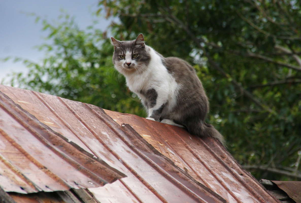 �� ����� ���� ����� �������� ����� �� PhotoGeek.ru #�������� ���