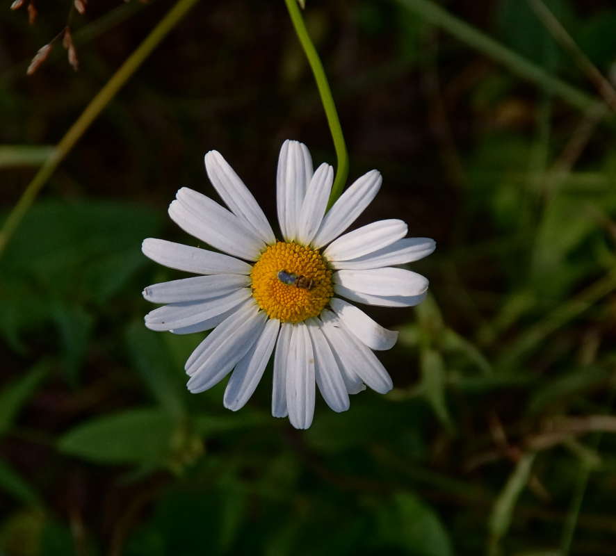 ��������� ����� �������� ����� �� PhotoGeek.ru #������ ��� �������