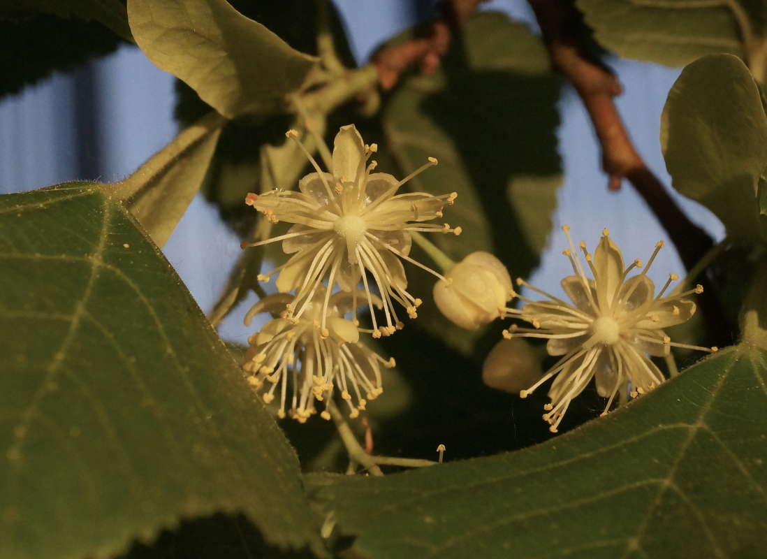 ������� ��������� ����� �������� ����� �� PhotoGeek.ru #������ ��� ������� #����� ��������������