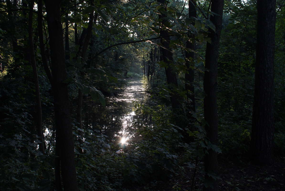 ���� ������� ������� ����� �������� ����� �� PhotoGeek.ru #������ ��� �������