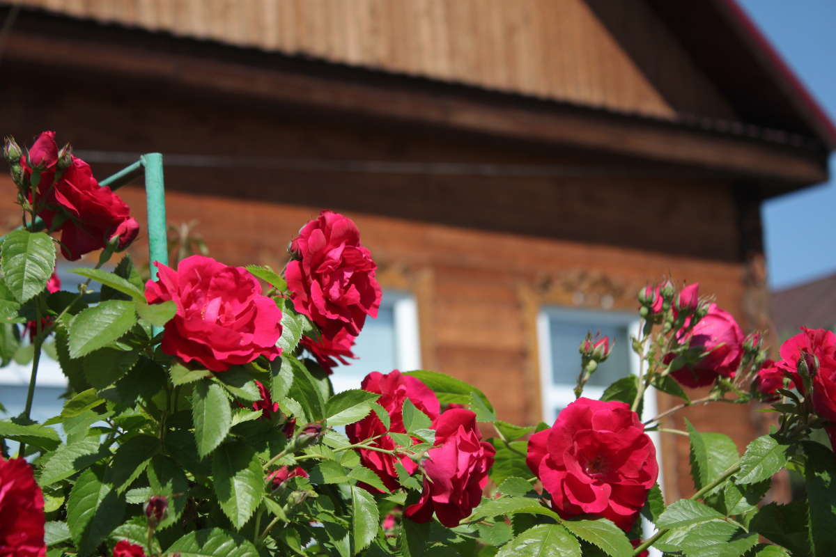 ����� � ���� ����� �������� ����� �� PhotoGeek.ru #������ ��� ������� #����� ��������������