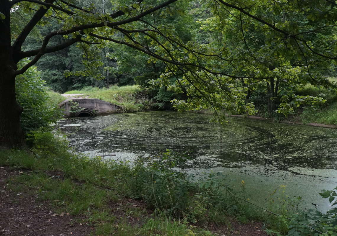 �������� ����� ����� �������� ����� �� PhotoGeek.ru #������ ��� �������