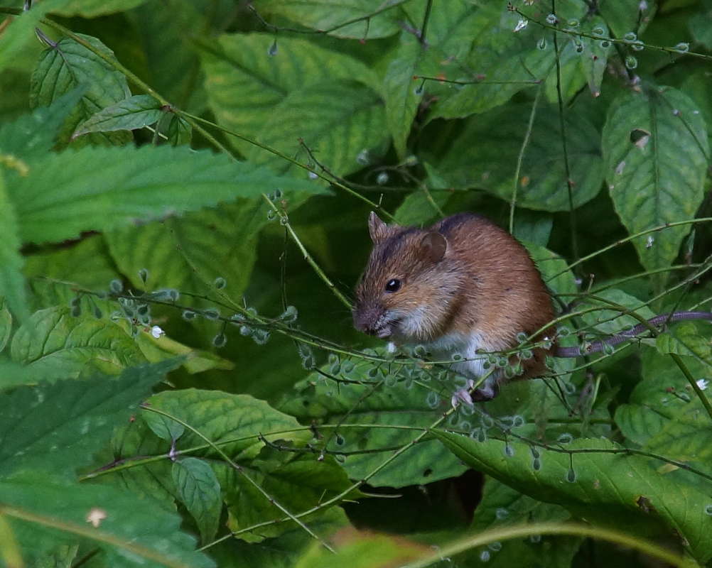 ������ ������� ����� �������� ����� �� PhotoGeek.ru #�������� ��� #����� ��� ��� ���������