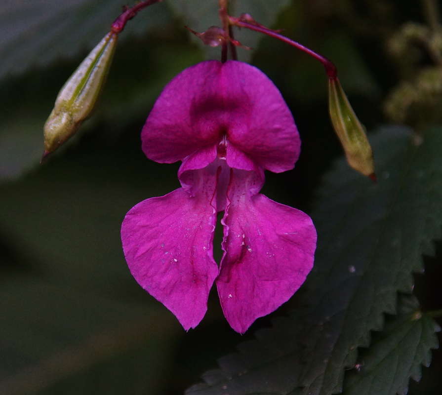 ������� ����� �������� ����� �� PhotoGeek.ru #������ ��� ������� #����� ��������������