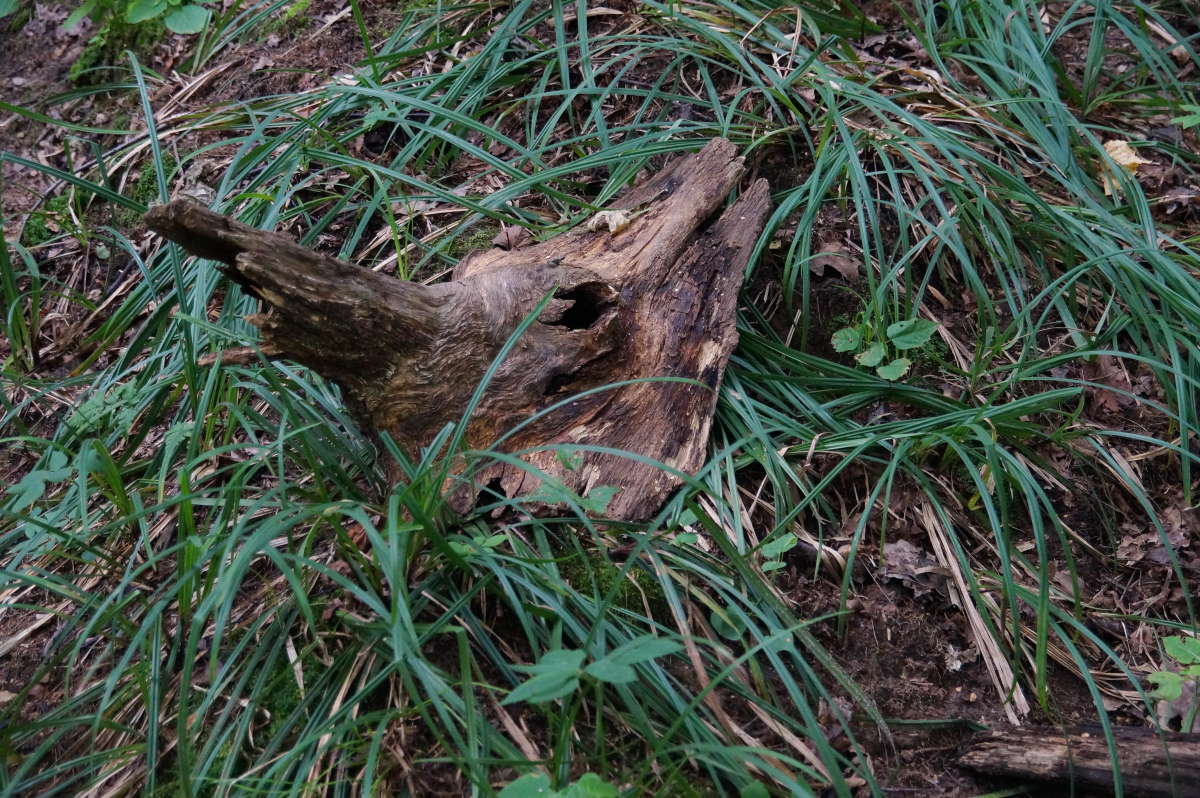 ������� ������ ����� �������� ����� �� PhotoGeek.ru #������ ��� ������� #����� ��������������