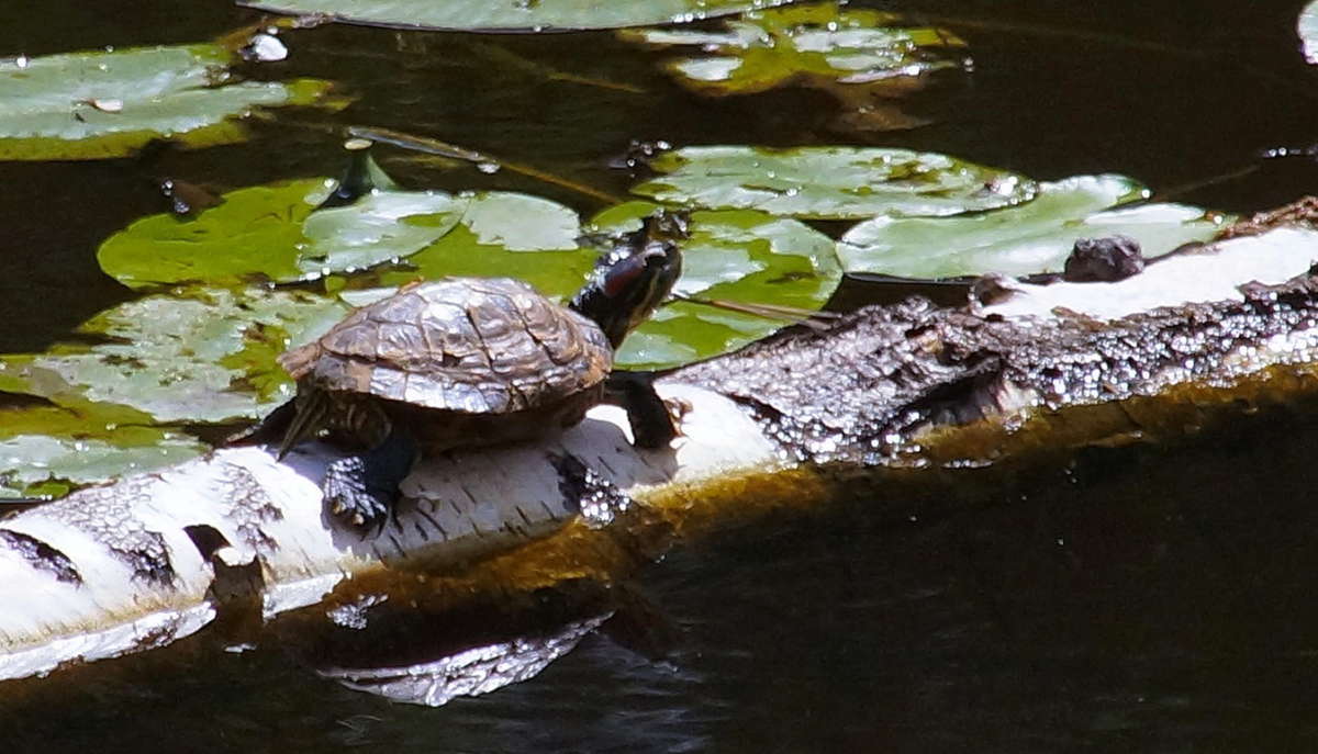 �������� �������� ����� �������� ����� �� PhotoGeek.ru #�������� ��� #����� ��� ��� ���������