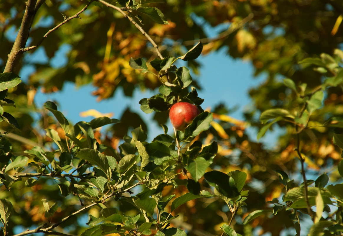 ��������� ����� �������� ����� �� PhotoGeek.ru #������ ��� ������� #����� ��������������