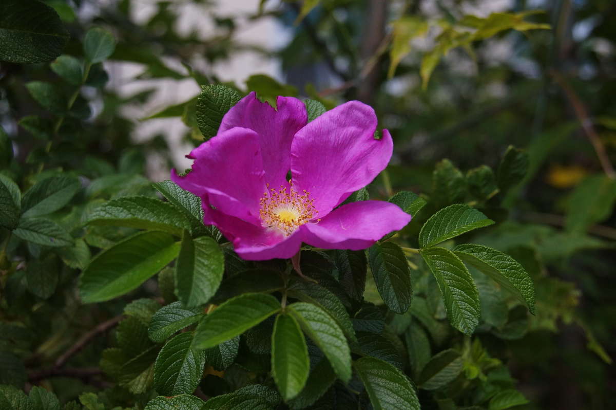 �������� ����� �������� ����� �� PhotoGeek.ru #������ ��� ������� #����� ��������������