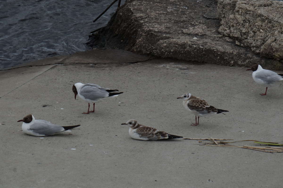 ����� ����� �� ����� ������ ����� ����� ����� �������� ����� �� PhotoGeek.ru #�������� ��� #������ ��� �������