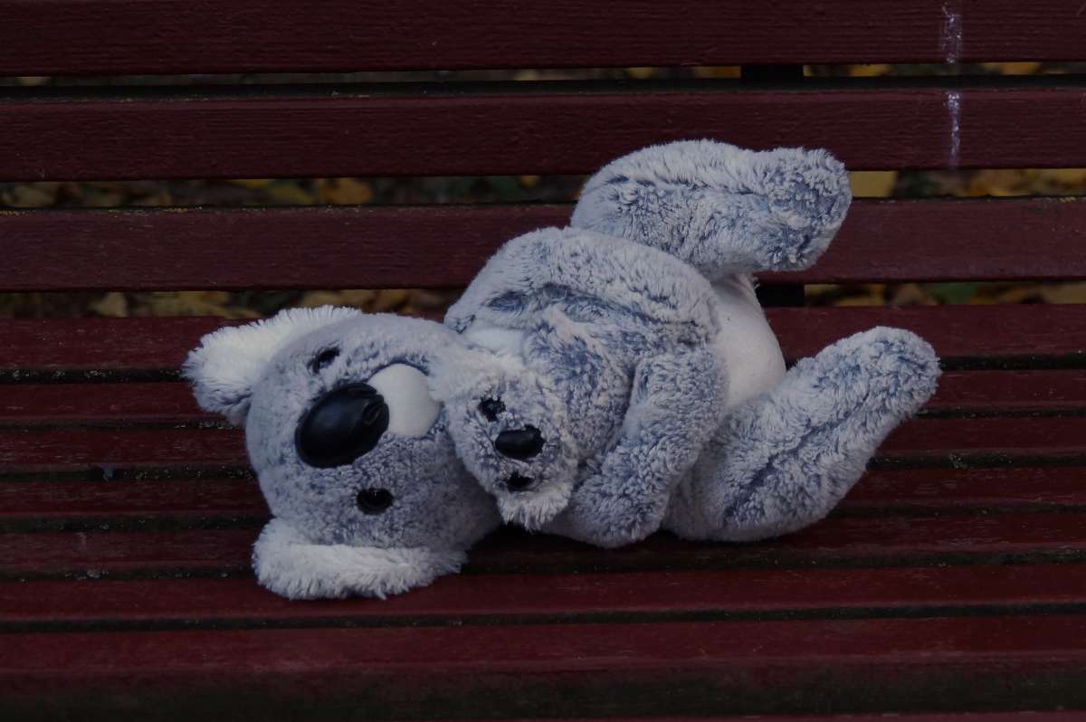 �� ������� ����� �������� ����� �� PhotoGeek.ru #�������� ����������