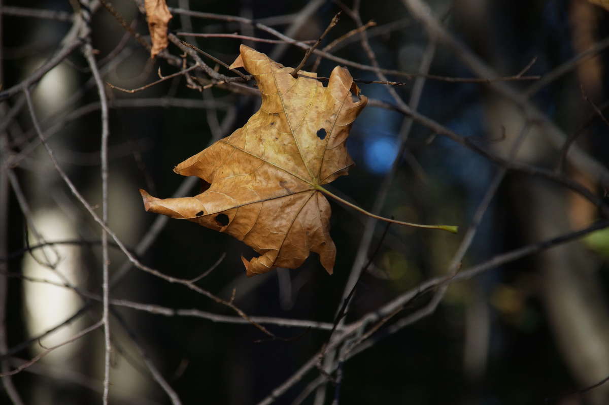 ������� ��� ����� �������� ����� �� PhotoGeek.ru #������ ��� ������� #����� ��������������