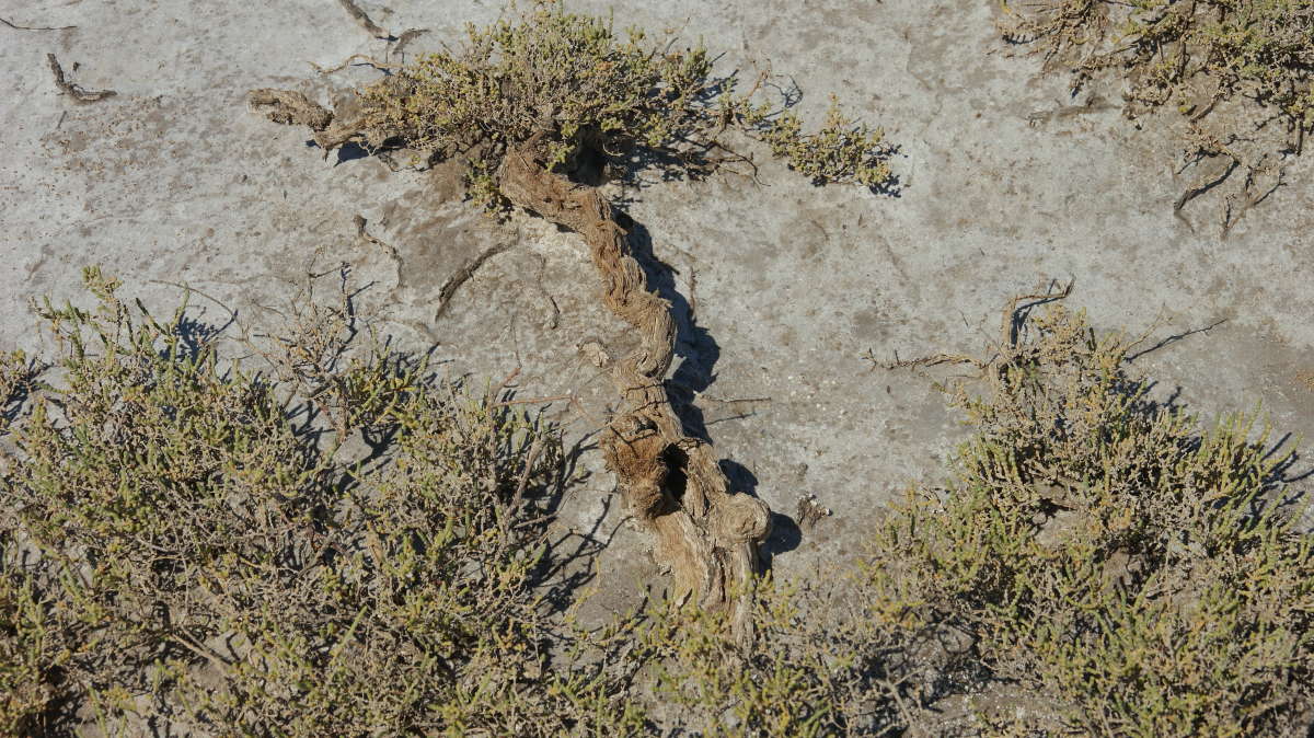 ��� ���� ����� ����� �������� ����� �� PhotoGeek.ru #������ ��� ������� #����� ��������������