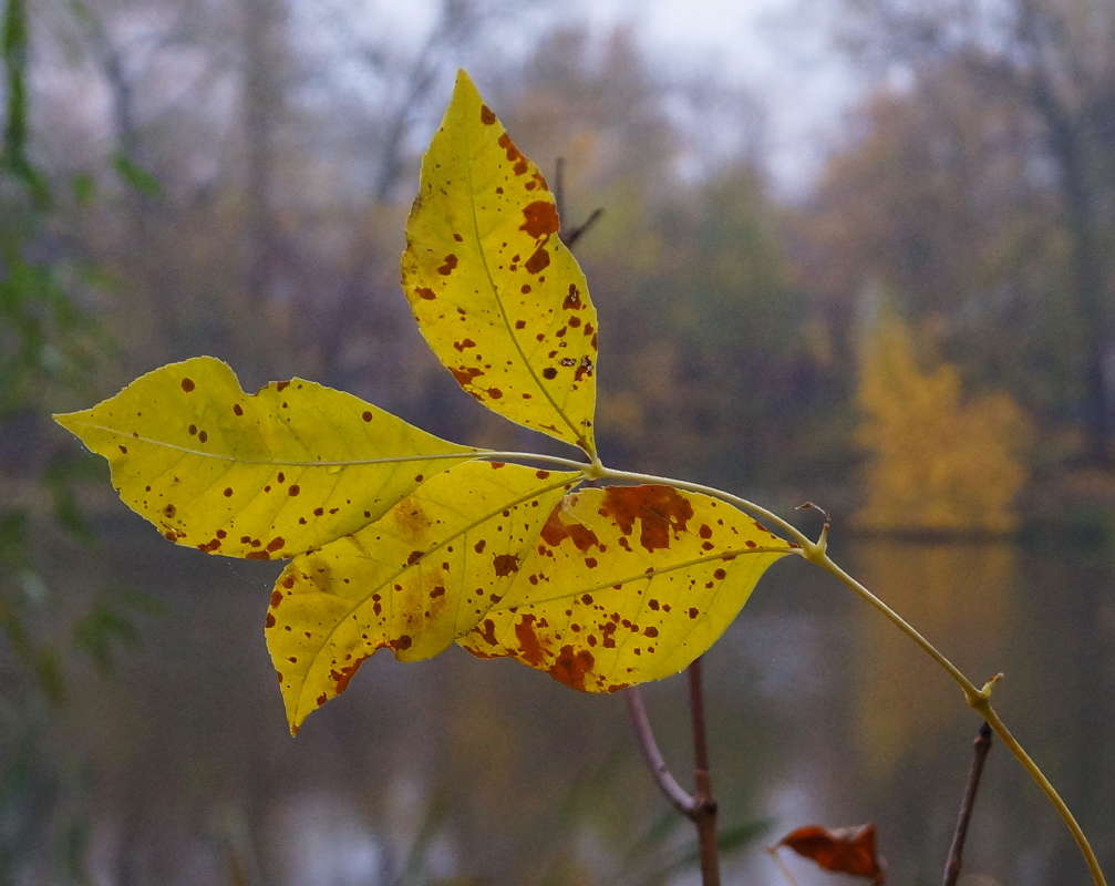 �������� (����� ����) ����� �������� ����� �� PhotoGeek.ru #������ ��� ������� #����� ��������������